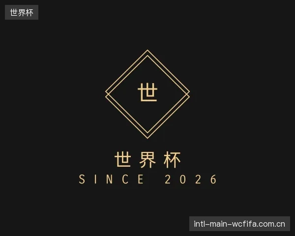 解读世界杯平台